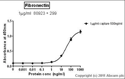 Sandwich ELISA - Anti-Fibronectin antibody (AB299)