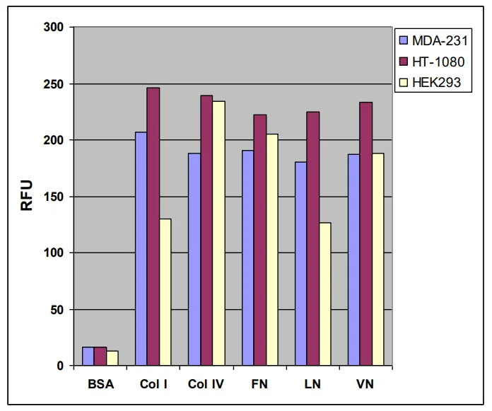Functional Studies - Fibronectin Cell Adhesion Assay (Fluorometric) (AB325574)