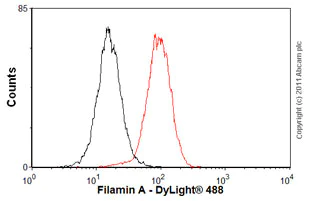 Flow Cytometry (Intracellular) - Anti-Filamin A antibody [EP2405Y] (AB76289)