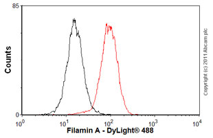 Flow Cytometry (Intracellular) - Anti-Filamin A antibody [EP2405Y] - BSA and Azide free (AB239881), expandable thumbnail