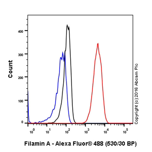 Flow Cytometry (Intracellular) - Anti-Filamin A antibody [EP2405Y] - BSA and Azide free (AB239881), expandable thumbnail