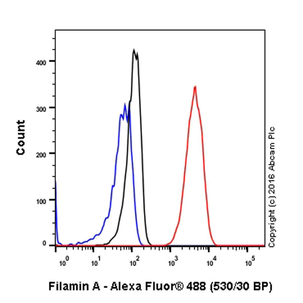 Flow Cytometry (Intracellular) - Anti-Filamin A antibody [EP2405Y] - BSA and Azide free (AB239881)