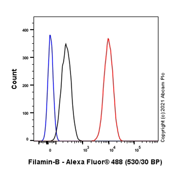 Flow Cytometry (Intracellular) - Anti-Filamin B antibody [EPR24525-3] (AB282106), expandable thumbnail