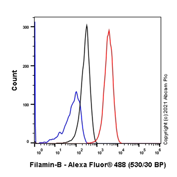 Flow Cytometry (Intracellular) - Anti-Filamin B antibody [EPR24525-3] (ab282106), expandable thumbnail