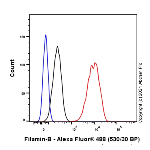 Flow Cytometry (Intracellular) - Anti-Filamin B antibody [EPR24525-3] (ab282106), expandable thumbnail