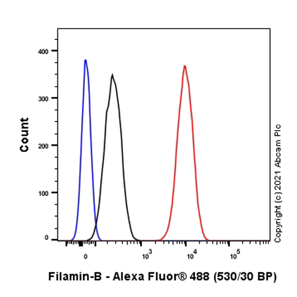 Flow Cytometry (Intracellular) - Anti-Filamin B antibody [EPR24525-3] - BSA and Azide free (AB282122)