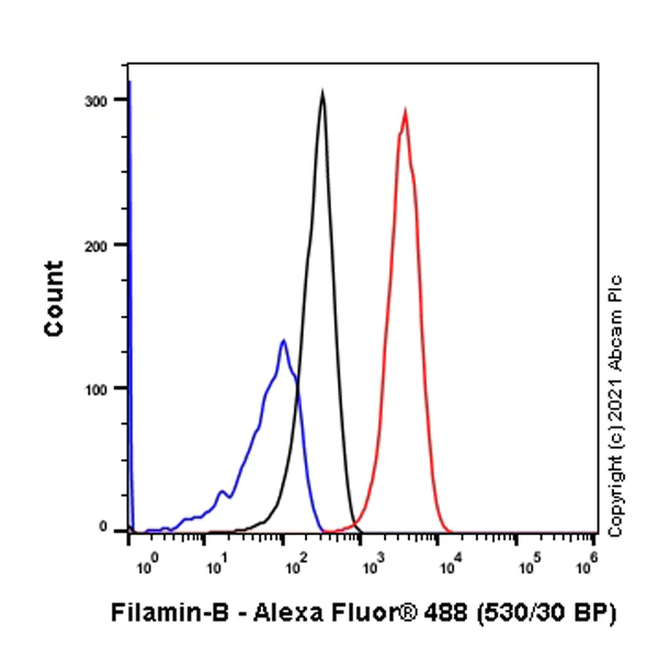 Flow Cytometry (Intracellular) - Anti-Filamin B antibody [EPR24525-3] - BSA and Azide free (AB282122)