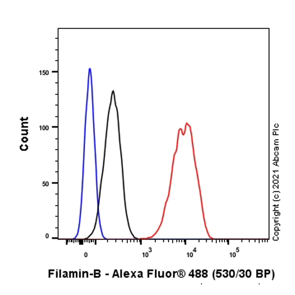 Flow Cytometry (Intracellular) - Anti-Filamin B antibody [EPR24525-3] - BSA and Azide free (AB282122)