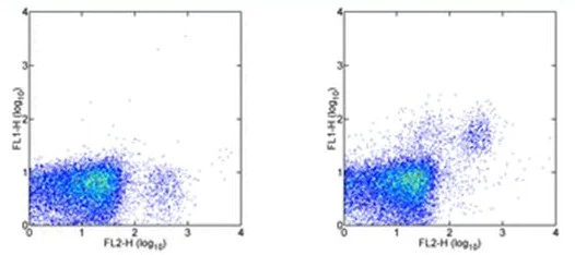 Flow Cytometry - FITC Anti-2B4 antibody [244F4] (AB95805)