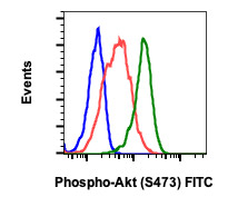 Flow Cytometry - FITC Anti-AKT1 (phospho S473) antibody [AktS473-B9] (AB278649), expandable thumbnail