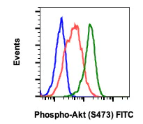 Flow Cytometry - FITC Anti-AKT1 (phospho S473) antibody [AktS473-B9] (AB278649)
