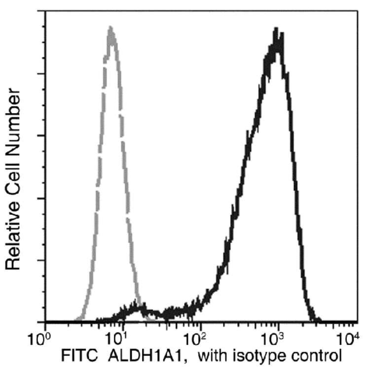 Flow Cytometry (Intracellular) - FITC Anti-ALDH1A1 antibody [03] (AB275646)