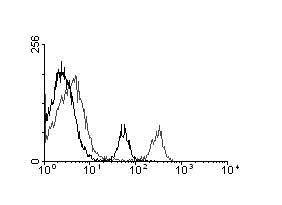 Flow Cytometry - Anti-FITC antibody [F4/1] (AB112511)