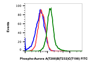 Flow Cytometry - FITC Anti-Aurora B (phospho T232) + Aurora A (phospho T288) + IPL-1/STK13/Aurora C (phospho T198) antibody [AuroraABC-CC12] (AB278776), expandable thumbnail