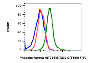Flow Cytometry - FITC Anti-Aurora B (phospho T232) + Aurora A (phospho T288) + IPL-1/STK13/Aurora C (phospho T198) antibody [AuroraABC-CC12] (AB278776)