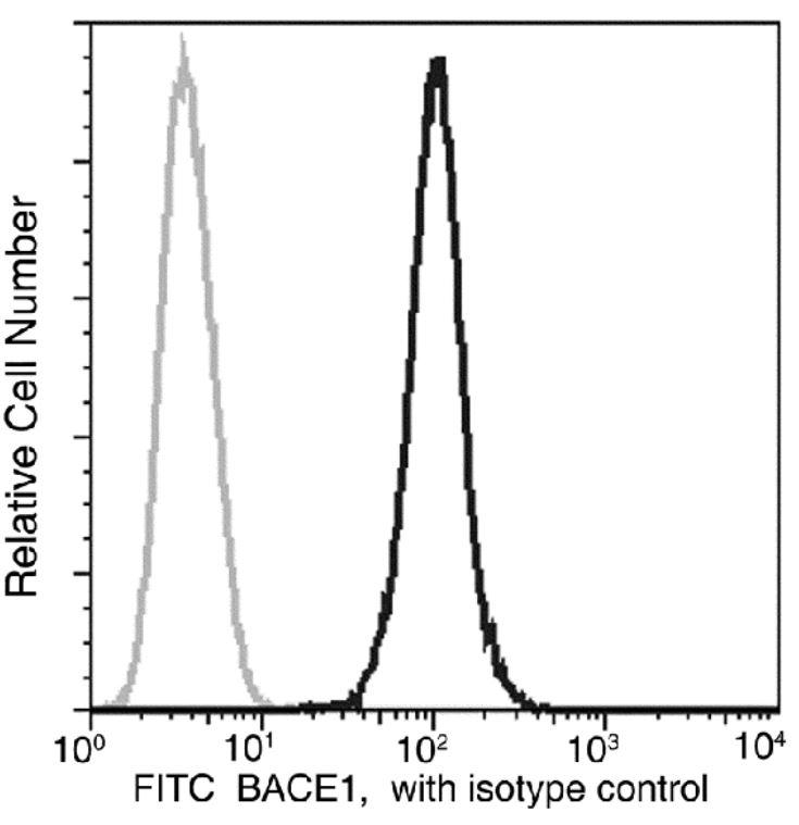 Flow Cytometry (Intracellular) - FITC Anti-BACE1 antibody [027] (AB275650), expandable thumbnail