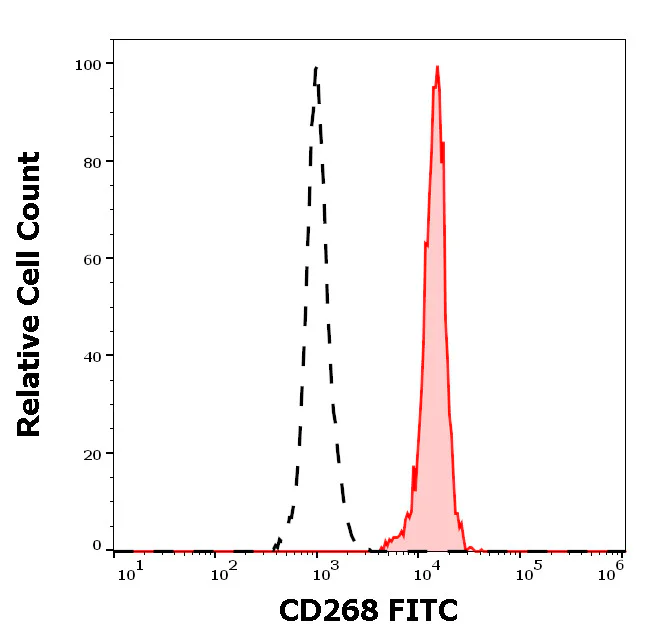 Flow Cytometry - FITC Anti-BAFF-R antibody [11C1] (AB326481)