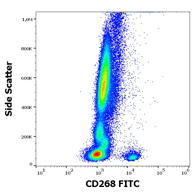 Flow Cytometry - FITC Anti-BAFF-R antibody [11C1] (AB326481)