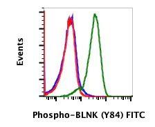 Flow Cytometry - FITC Anti-BLNK (phospho Y84) antibody [BLNKY84-H4] (AB278755)