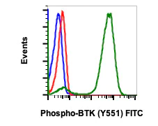 Flow Cytometry - FITC Anti-BTK (phospho Y551) antibody [BtkY551-G12] (AB278613)
