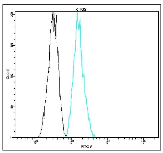 Flow Cytometry - FITC Anti-c-Fos antibody [H15-S] (AB175647)