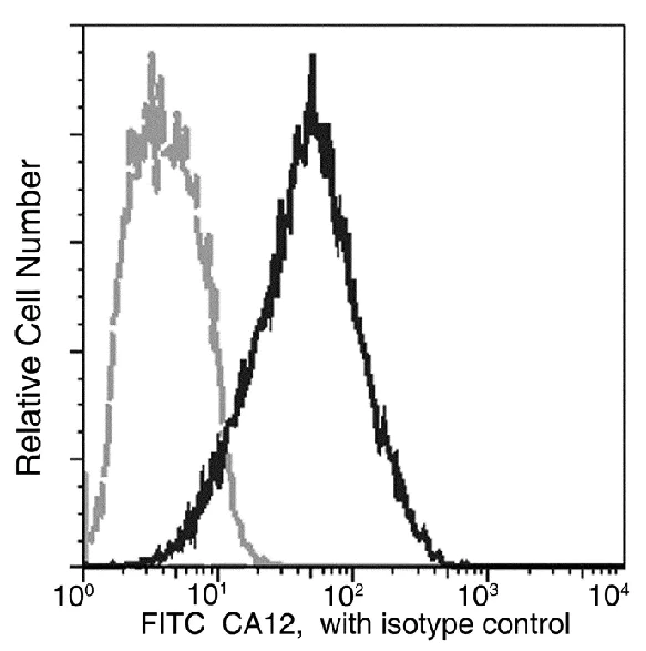 Flow Cytometry - FITC Anti-Carbonic Anhydrase 12/CA12 antibody [11] (AB275576)