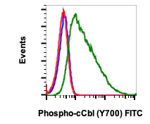 Flow Cytometry - FITC Anti-CBL (phospho Y700) antibody [CblY700-E1] (AB278762)