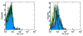 Flow Cytometry - FITC Anti-CCR9 antibody [CW-1.2] (AB95670)