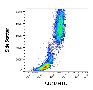Flow Cytometry - FITC Anti-CD10 antibody [LT10] (AB269339), expandable thumbnail
