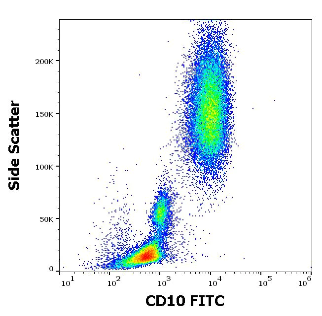 Flow Cytometry - FITC Anti-CD10 antibody [MEM-78] (AB28096)