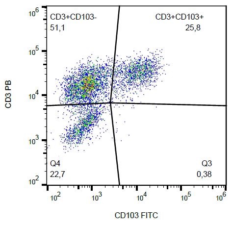 Flow Cytometry - FITC Anti-CD103 antibody [Ber-ACT8] (AB239247)
