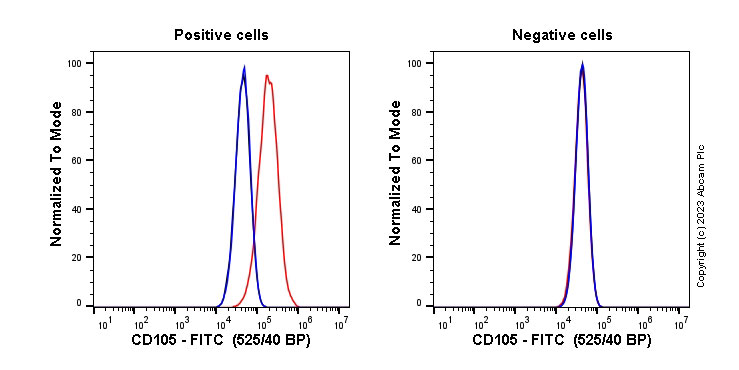 FITC Anti-CD105 antibody [EPR21846] (ab314950) | Abcam