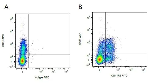 Flow Cytometry - FITC Anti-CD11b antibody [2F4/11] (AB34444)