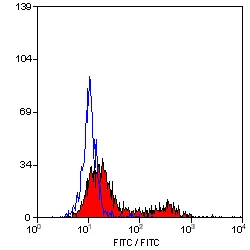 Flow Cytometry - FITC Anti-CD134 / OX40L receptor antibody [MRC OX-40] (AB33960)