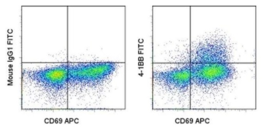 Flow Cytometry - FITC Anti-CD137 antibody [4B4 (4B4-1)] (AB93520)