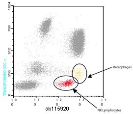 Flow Cytometry - FITC Anti-CD16 antibody [GRM1] (AB115920)
