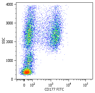 Flow Cytometry - FITC Anti-CD177 antibody [MEM-166] (AB26013)