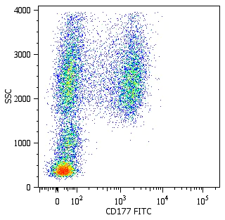 Flow Cytometry - FITC Anti-CD177 antibody [MEM-166] (AB26013)