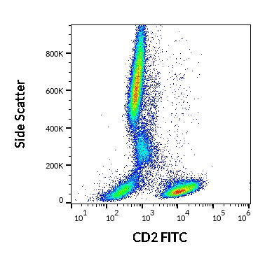 Flow Cytometry - FITC Anti-CD2 antibody [LT2] (AB269317), expandable thumbnail
