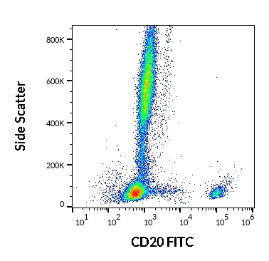 Flow Cytometry - FITC Anti-CD20 antibody [2H7] (AB326490)
