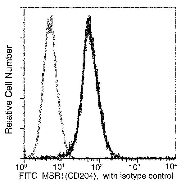 Flow Cytometry - FITC Anti-CD204 antibody [004] (AB275706)