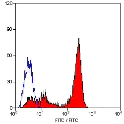 Flow Cytometry - FITC Anti-CD226 antibody [DX11] (AB33335)