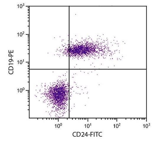 Flow Cytometry - FITC Anti-CD24 antibody [30-F1] (AB25673)