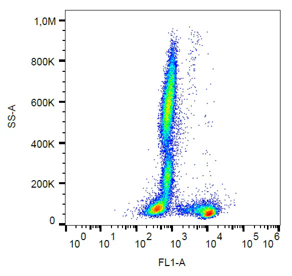 Flow Cytometry - FITC Anti-CD27 antibody [LT27] (AB326485)