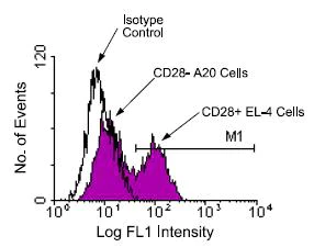 Flow Cytometry - FITC Anti-CD28 antibody [PV-1] (AB24844)