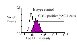 Flow Cytometry - FITC Anti-CD30 antibody [2SH12-5F] (AB24976), expandable thumbnail