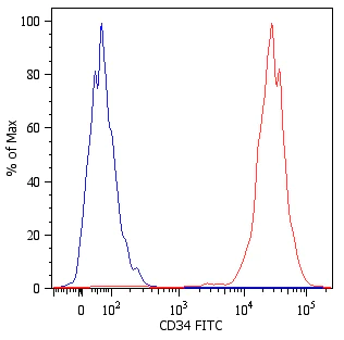 FITC Anti-CD34 antibody [4H11[APG]] (ab18227) | Abcam