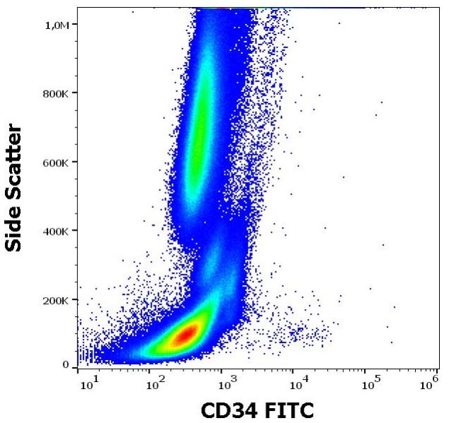Flow Cytometry - FITC Anti-CD34 antibody [581] (AB131589), expandable thumbnail