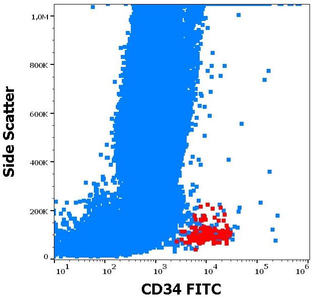 Flow Cytometry - FITC Anti-CD34 antibody [581] (AB131589), expandable thumbnail