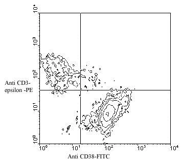Flow Cytometry - FITC Anti-CD38 antibody [90] (AB24978)